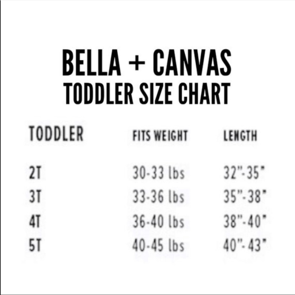 Toddler Gray Disney Shirt Best Day Ever Bella and Canvas Size 2T-5T - Picture 4 of 4